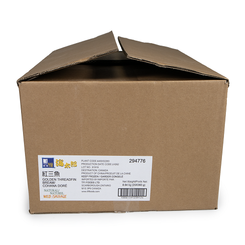 Golden_Thread_Fin_Bream_294776_03